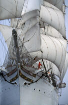 Statsraad Lehmkuhl. © Philip Plisson / Plisson La Trinité / AA00501 - Photo Galleries - Three-masted ship