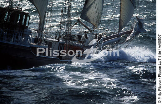 Swann Fan Makkum dans une mer agitée. - © Philip Plisson / Plisson La Trinité / AA00507 - Photo Galleries - Storm at sea