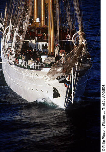 Proue de l'Esmeralda. - © Philip Plisson / Plisson La Trinité / AA00508 - Nos reportages photos - Elément d'un bateau