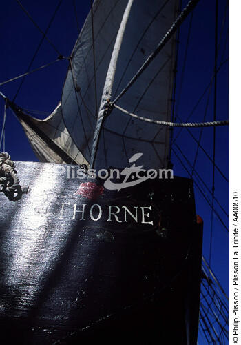THorne, l'annexe du HMS Rose. - © Philip Plisson / Plisson La Trinité / AA00510 - Photo Galleries - Stern