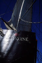 THorne, l'annexe du HMS Rose. © Philip Plisson / Plisson La Trinité / AA00510 - Photo Galleries - Old gaffer