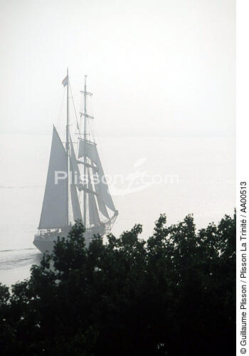Le Swann Fan Makkum sur la Loire pendant l'Armada. - © Guillaume Plisson / Plisson La Trinité / AA00513 - Photo Galleries - Traditional sailing