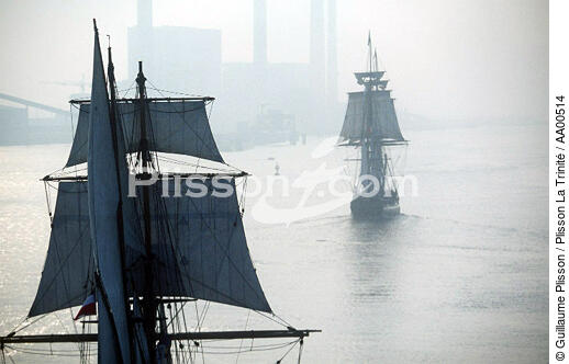 Le HMS Rose pendant l'Armada. - © Guillaume Plisson / Plisson La Trinité / AA00514 - Photo Galleries - Three masts