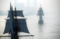 Le HMS Rose pendant l'Armada. © Guillaume Plisson / Plisson La Trinité / AA00514 - Photo Galleries - Tall ship / Sailing ship