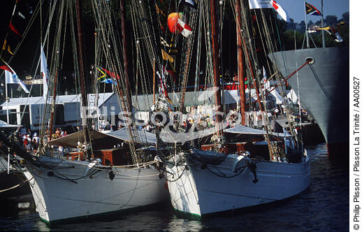 L'Etoile et la Belle Poule pendant l'Armada de Rouen. - © Philip Plisson / Plisson La Trinité / AA00527 - Nos reportages photos - Terme marin