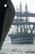 Amerigo Vespucci. © Philip Plisson / Plisson La Trinité / AA00530 - Photo Galleries - Tall ship / Sailing ship