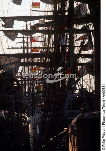 Le Cuauhtemoc à quai, pendant l'Armada. - © Philip Plisson / Plisson La Trinité / AA00531 - Photo Galleries - Three masts