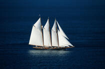 Le Shenandoah © Guillaume Plisson / Plisson La Trinité / AA00312 - Photo Galleries - Tall ship / Sailing ship