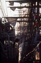 Le Cuauhtemoc pendant l'Armada de Rouen. © Philip Plisson / Plisson La Trinité / AA00537 - Nos reportages photos - Rassemblement