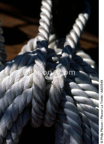 Noeud marin sur le HMS Rose. - © Philip Plisson / Plisson La Trinité / AA00549 - Photo Galleries - Three masts
