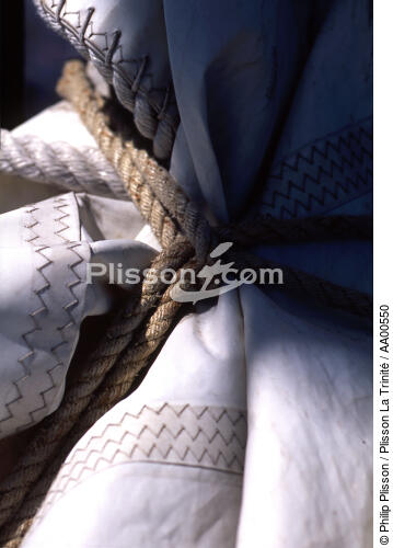 Noeud marin sur le HMS Rose. - © Philip Plisson / Plisson La Trinité / AA00550 - Photo Galleries - Ropes and rigging