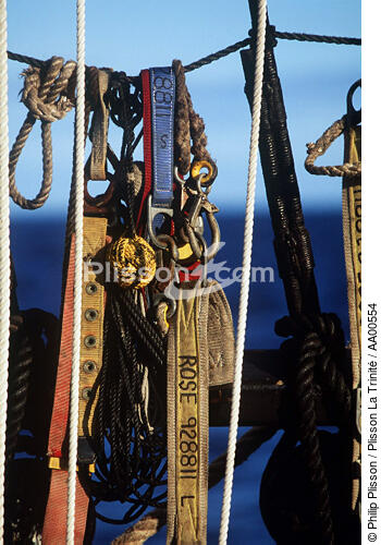 Harnais sur le HMS Rose. - © Philip Plisson / Plisson La Trinité / AA00554 - Photo Galleries - Three masts