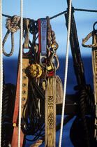 Harnais sur le HMS Rose. © Philip Plisson / Plisson La Trinité / AA00554 - Nos reportages photos - Trois-mâts barque