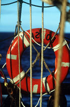 Bouée de sauvetage sur le HMS Rose. © Philip Plisson / Plisson La Trinité / AA00555 - Photo Galleries - Three-masted ship