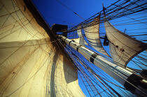 Voile du HMS Rose. © Philip Plisson / Plisson La Trinité / AA00558 - Photo Galleries - Three masts