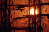 Coucher de soleil sur la mâture du HMS Rose. © Philip Plisson / Plisson La Trinité / AA00560 - Photo Galleries - Tall ship / Sailing ship