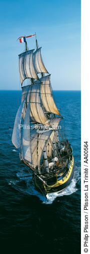 HMS Rose. - © Philip Plisson / Plisson La Trinité / AA00564 - Nos reportages photos - Trois-mâts barque frégate