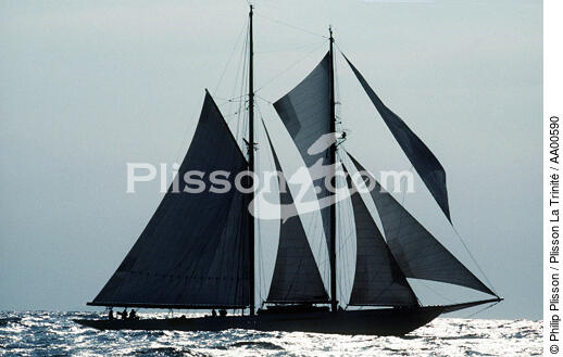Goélette en contre-jour. - © Philip Plisson / Plisson La Trinité / AA00590 - Photo Galleries - Classic Yachting