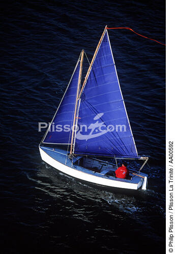 Guépard (sloup). - © Philip Plisson / Plisson La Trinité / AA00592 - Photo Galleries - Calm sea