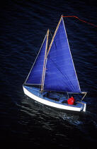 Guépard (sloup). © Philip Plisson / Plisson La Trinité / AA00592 - Photo Galleries - Sailing boat