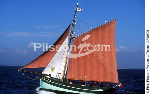 Sloup langoustier, le Cap Sizun.¶ - © Philip Plisson / Plisson La Trinité / AA00609 - Photo Galleries - Sailing boat