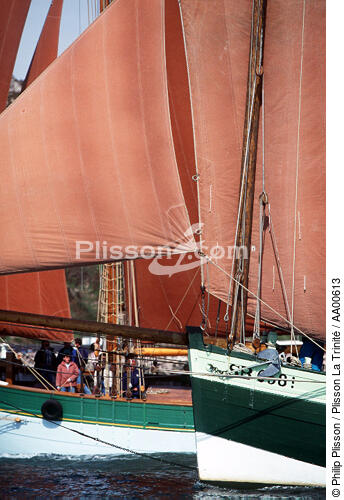 Sloup langoustier et lougre bord à bord. - © Philip Plisson / Plisson La Trinité / AA00613 - Nos reportages photos - Vertical