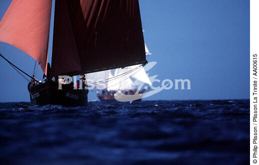 Thonier en contre-jour. - © Philip Plisson / Plisson La Trinité / AA00615 - Photo Galleries - Calm sea