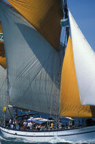 L'Etoile Molène. © Philip Plisson / Plisson La Trinité / AA00616 - Photo Galleries - Sailing boat