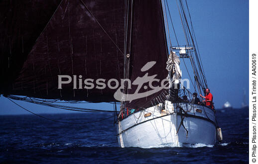 Proue de Lola (cotre). - © Philip Plisson / Plisson La Trinité / AA00619 - Photo Galleries - Trawler cutter
