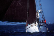 Proue de Lola (cotre). © Philip Plisson / Plisson La Trinité / AA00619 - Nos reportages photos - Yachting