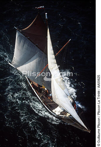 Cotre en mer. - © Guillaume Plisson / Plisson La Trinité / AA00625 - Nos reportages photos - Vertical