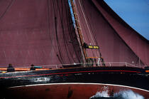 Jolie Brise en Grande Bretagne. © Philip Plisson / Plisson La Trinité / AA00634 - Photo Galleries - Sailing Pilot boat