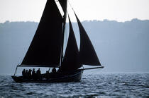 Contre-jour, sloup coquiller. © Guillaume Plisson / Plisson La Trinité / AA00642 - Photo Galleries - Sailing boat