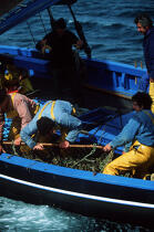 Pêcheur à bord d'un sloup coquiller. © Philip Plisson / Plisson La Trinité / AA00643 - Nos reportages photos - Bateau de pêche