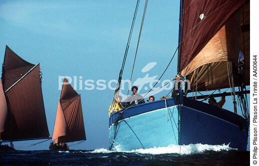Sloups coquillers. - © Philip Plisson / Plisson La Trinité / AA00644 - Photo Galleries - Elements of boat