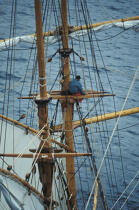 Equipier sur le mât de la Recouvrance. © Philip Plisson / Plisson La Trinité / AA00658 - Photo Galleries - Sailing boat