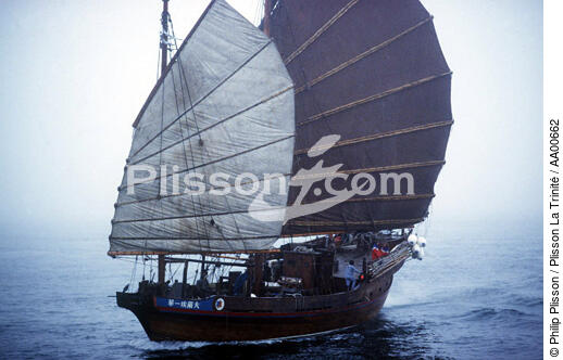 Jonque Elf Aquitaine. - © Philip Plisson / Plisson La Trinité / AA00662 - Photo Galleries - Sailing boat