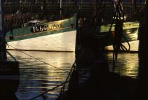 Bateau de pêche au mouillage dans le port de Paimpol. © Philip Plisson / Plisson La Trinité / AA00676 - Photo Galleries - Backlit