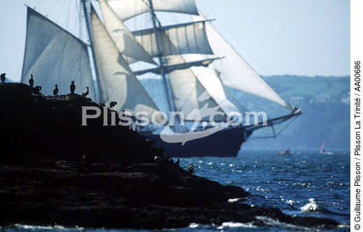 Cormorans regardant le spectacle des grands voiliers pendant Brest 96. - © Guillaume Plisson / Plisson La Trinité / AA00686 - Nos reportages photos - Rassemblement