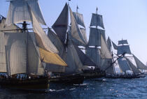 Flotte de grands voiliers pour Brest 96. © Philip Plisson / Plisson La Trinité / AA00688 - Nos reportages photos - Temps