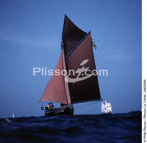 Sloup langoustier sous un ciel bleu. - © Philip Plisson / Plisson La Trinité / AA00694 - Photo Galleries - Sails