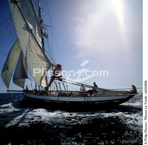 La Marie Fernand sous le soleil. - © Philip Plisson / Plisson La Trinité / AA00696 - Nos reportages photos - Beau temps