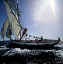 La Marie Fernand sous le soleil. © Philip Plisson / Plisson La Trinité / AA00696 - Photo Galleries - Sailing Pilot boat