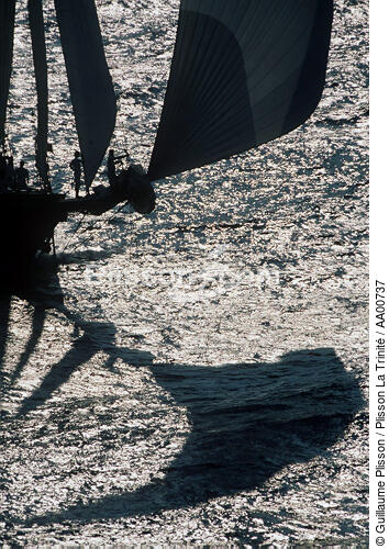 L'ombre du spi d'un 12 MJ. - © Guillaume Plisson / Plisson La Trinité / AA00737 - Photo Galleries - Classic Yachting