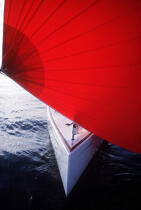 Celtina, monotype 7,50 m. © Philip Plisson / Plisson La Trinité / AA00780 - Nos reportages photos - Yachting