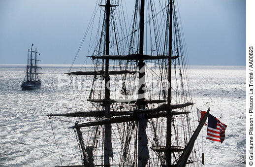Le Belem en arrière plan, mâture du HMS Rose au premier plan. - © Guillaume Plisson / Plisson La Trinité / AA00823 - Photo Galleries - Armada [The]