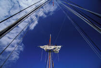 Dans la mature du HMS Rose. © Philip Plisson / Plisson La Trinité / AA00828 - Nos reportages photos - Vue non aérienne