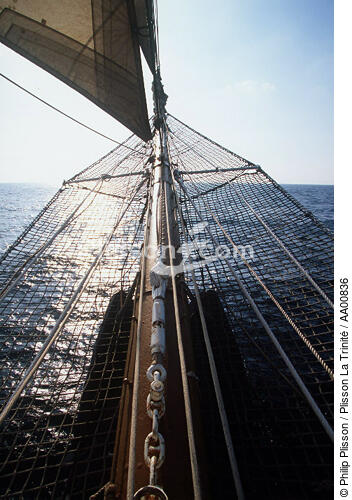 Bout-dehors de l'Esmeralda. - © Philip Plisson / Plisson La Trinité / AA00836 - Photo Galleries - Elements of boat