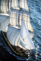 Plongée sur le HMS Rose. © Guillaume Plisson / Plisson La Trinité / AA00845 - Photo Galleries - Traditional sailing
