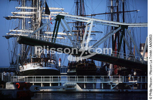 Grands voiliers au port pour l'Armada. - © Philip Plisson / Plisson La Trinité / AA00853 - Nos reportages photos - Quai